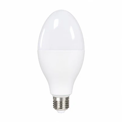 Ampoule LED olive